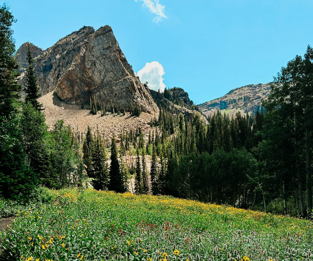 Lake Blanche trailhead Utah—a quick review